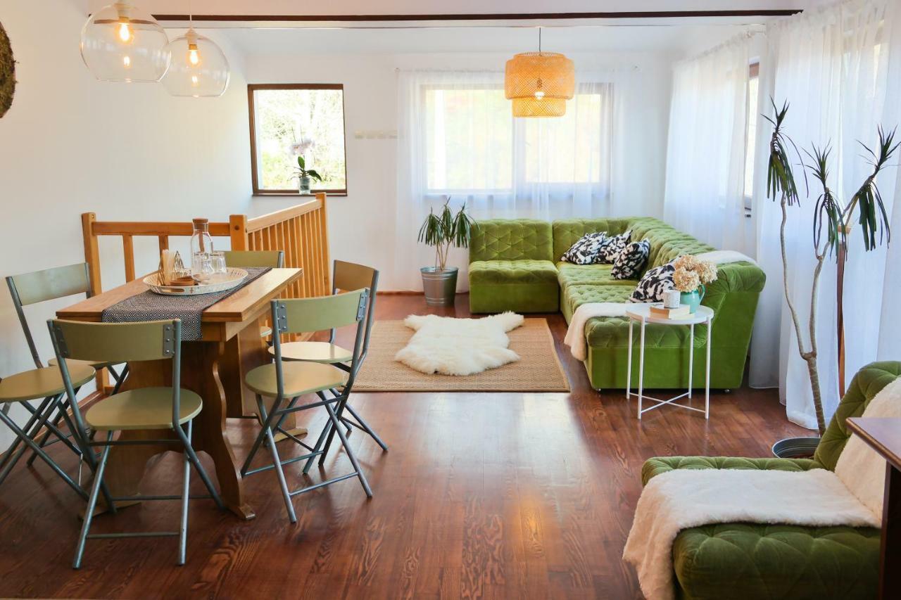 Amurguluibnb 3 Rooms Apartment With Mountain View Busteni Luaran gambar