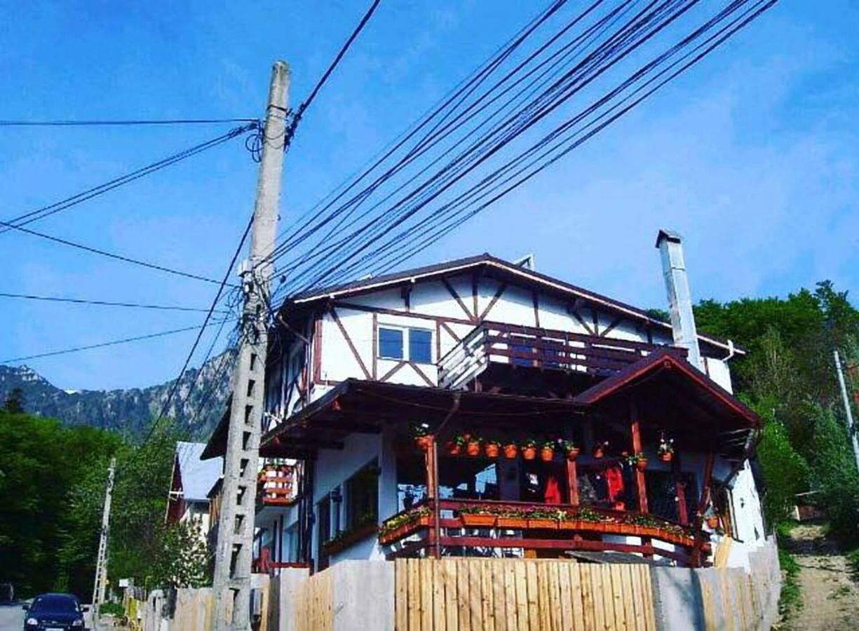 Amurguluibnb 3 Rooms Apartment With Mountain View Busteni Luaran gambar